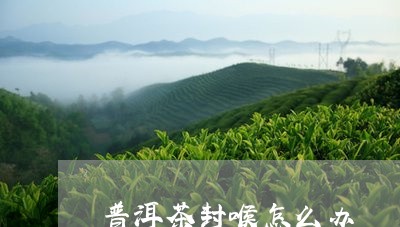 普洱茶封喉怎么办/2023033053706