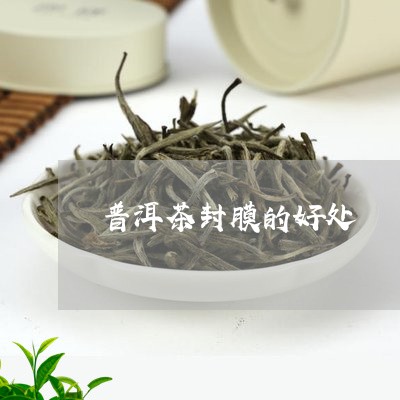 普洱茶封膜的好处/2023040108570