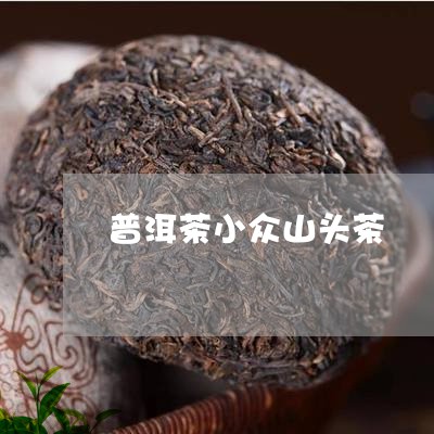 普洱茶小众山头茶/2023041065158