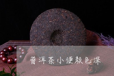 普洱茶小便颜色深/2023031840736