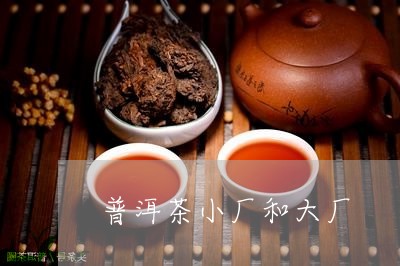 普洱茶小厂和大厂/2023041018182