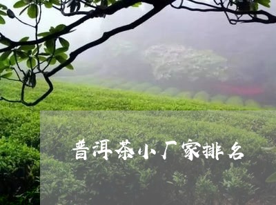 普洱茶小厂家排名/2023041058613