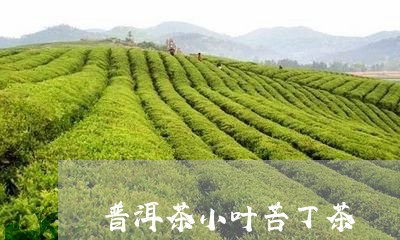 普洱茶小叶苦丁茶/2023031646274