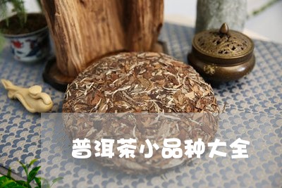 普洱茶小品种大全/2023041005049