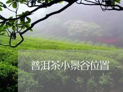 普洱茶小景谷位置/2023040910483