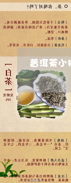 普洱茶小树茶视频/2023031762715