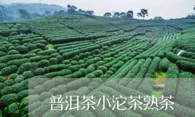 普洱茶小沱茶熟茶/2023041170593