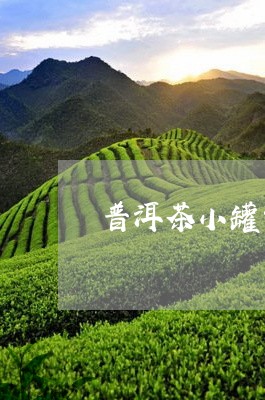 普洱茶小罐包装盒/2023033083893