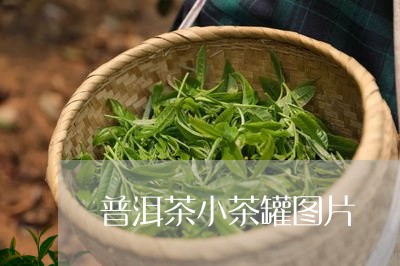 普洱茶小茶罐图片/2023041314969