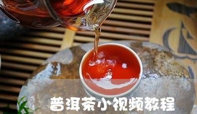 普洱茶小视频教程/2023033017379