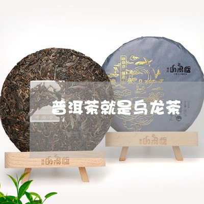 普洱茶就是乌龙茶/2023041183945