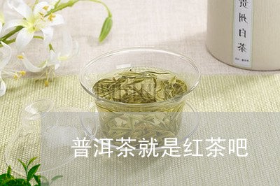 普洱茶就是红茶吧/2023040956462