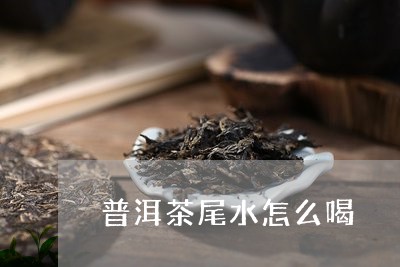 普洱茶尾水怎么喝/2023041294835