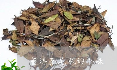 普洱茶尾水的香味/2023040139470