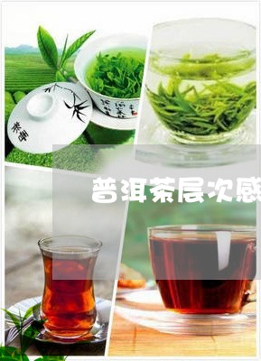 普洱茶层次感特点/2023040107252