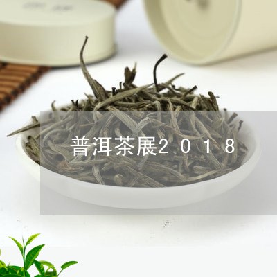 普洱茶展2018/2023041018452