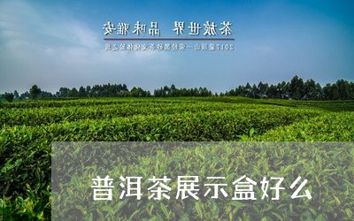 普洱茶展示盒好么/2023041045169