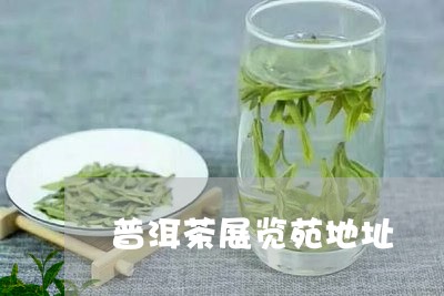 普洱茶展览苑地址/2023031847382