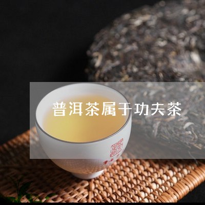 普洱茶属于功夫茶/2023041145839