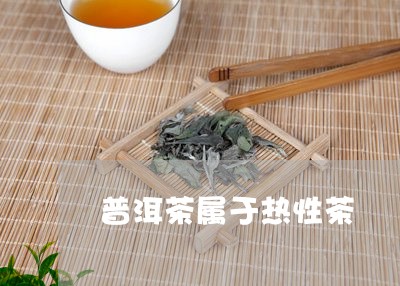 普洱茶属于热性茶/2023041209482