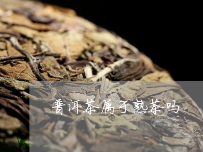 普洱茶属于熟茶吗/2023041193916