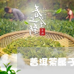 普洱茶属于生茶嘛/2023041308371