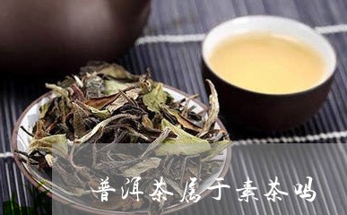 普洱茶属于素茶吗/2023031562725