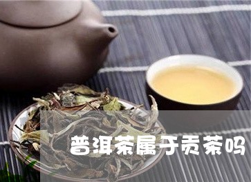 普洱茶属于贡茶吗/2023041195947