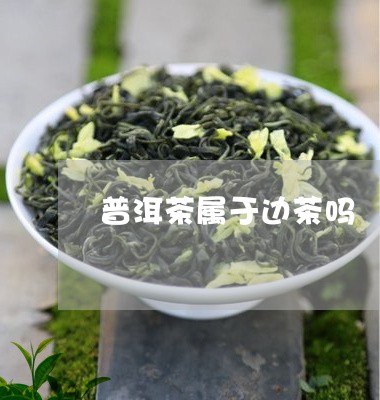 普洱茶属于边茶吗/2023031525259