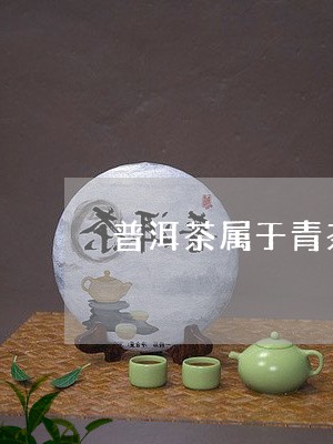 普洱茶属于青茶类/2023031658159