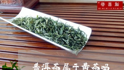 普洱茶属于黄茶吗/2023041168372