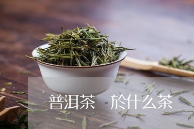 普洱茶屬於什么茶/2023041138392