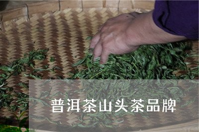 普洱茶山头茶品牌/2023041152846