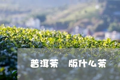 普洱茶屵版什么茶/2023041193804