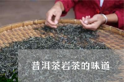 普洱茶岩茶的味道/2023031750481