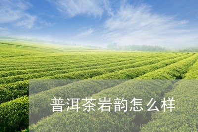 普洱茶岩韵怎么样/2023033106259