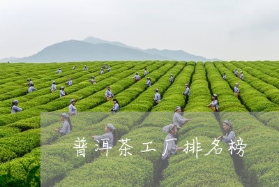 普洱茶工厂排名榜/2023031863035