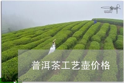 普洱茶工艺壶价格/2023040983727