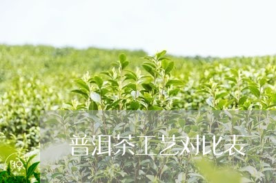 普洱茶工艺对比表/2023031855937