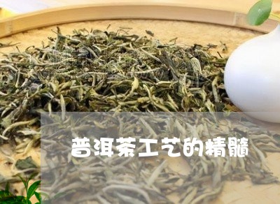 普洱茶工艺的精髓/2023040947258