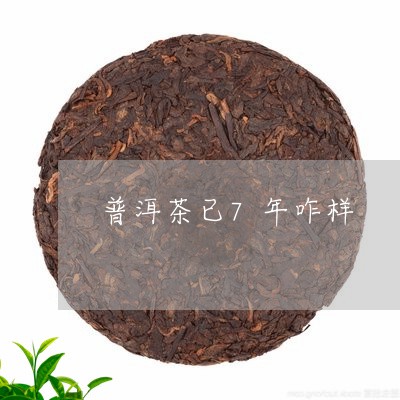 普洱茶已7年咋样/2023033178583