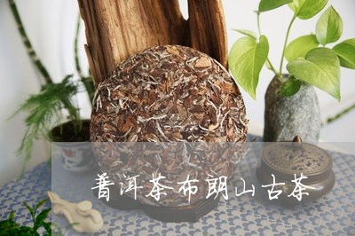 普洱茶布朗山古茶/2023041377482