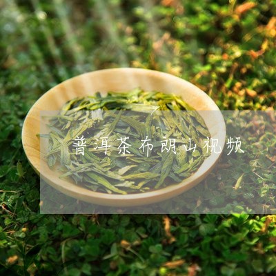 普洱茶布朗山视频/2023040939494