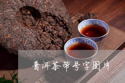 普洱茶带号字图片/2023031816959