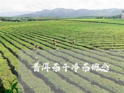 普洱茶干净茶概念/2023031735945