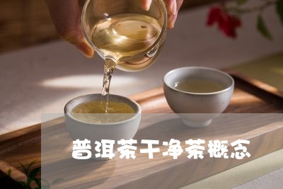 普洱茶干净茶概念/2023041245247