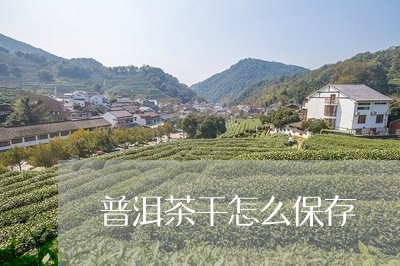 普洱茶干怎么保存/2023040937261