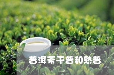 普洱茶干普和熟普/2023031860504