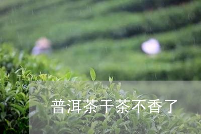 普洱茶干茶不香了/2023041452607