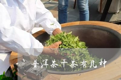 普洱茶干茶有几种/2023041113615